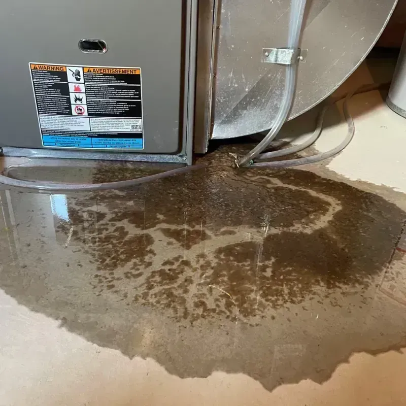 Appliance Leak Cleanup in Oak Hill, WV